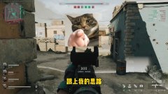 三角洲辅助低价卡盟探寻背后的文化故事与传奇历程